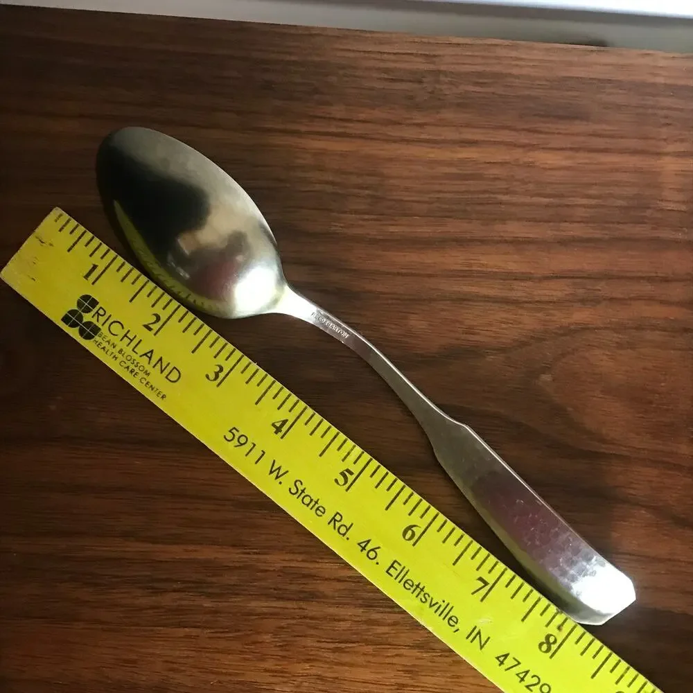 Reed & Barton COLONIAL FORGE Stainless Hammered Satin solid serving spoon (1)